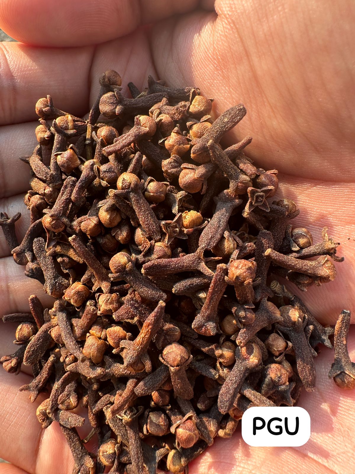 Cloves Lalpari